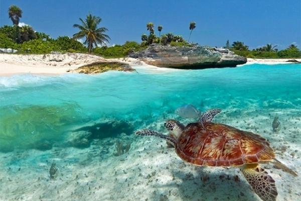 Kuwa Zanzibar Apart otel Kiwengwa  Dış mekan fotoğraf
